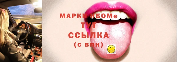 индика Армянск