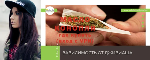 мяу мяу мука Аркадак