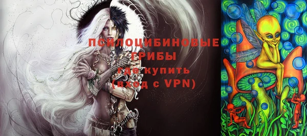 индика Армянск