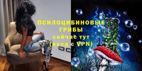 винт Арсеньев
